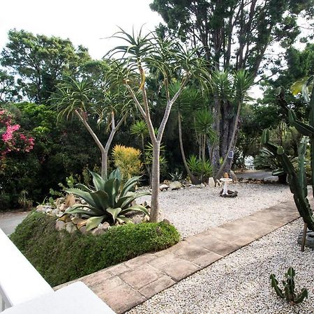 South Villa Guesthouse&Garden Knysna Eksteriør billede